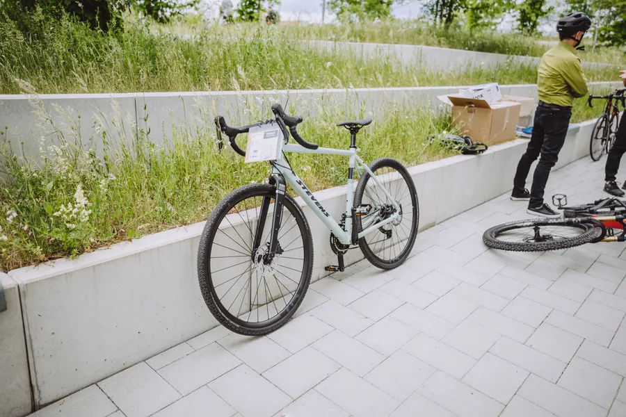 E-Bike vor Gräsern